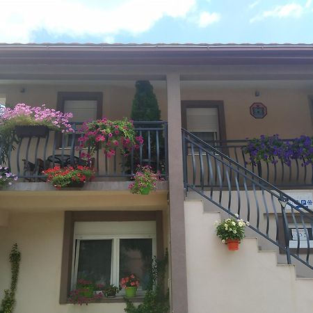 Studio Kaca Cetinje Ruang foto